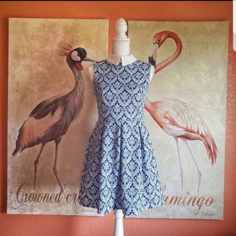Iska London Damask Mini Dress Sleeveless Collar Fit and Flare Blue White